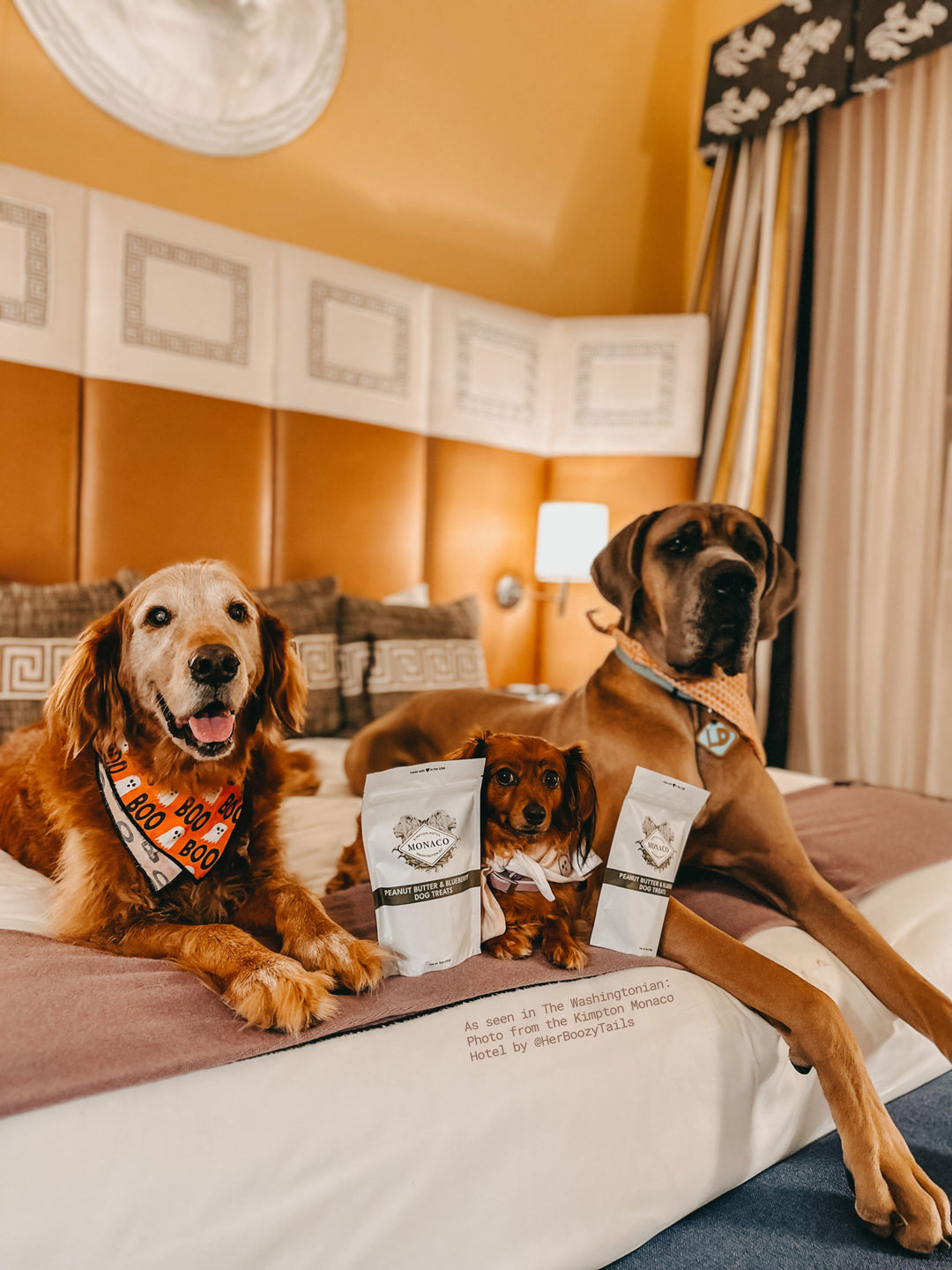 As seen in The Washingtonian: Photo from the Kimpton Monaco Hotel by @HerBoozyTails